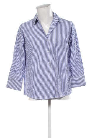 Herrenhemd Zara, Größe XXL, Farbe Mehrfarbig, Preis 7,99 €