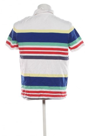 Herren T-Shirt Delmao, Größe L, Farbe Mehrfarbig, Preis € 24,99