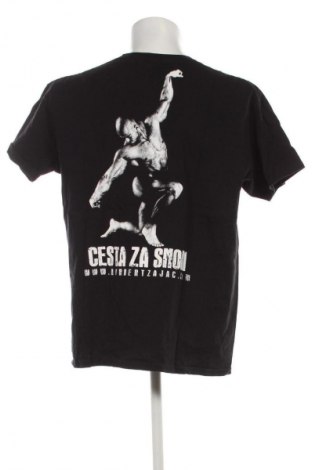 Tricou de bărbați Fruit Of The Loom, Mărime XL, Culoare Multicolor, Preț 23,99 Lei