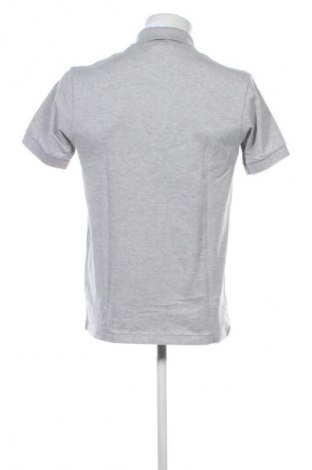 Herren Shirt Lacoste, Größe M, Farbe Grau, Preis 66,99 €