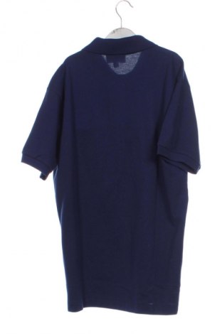 Herren Shirt Lacoste, Größe XS, Farbe Blau, Preis 66,99 €
