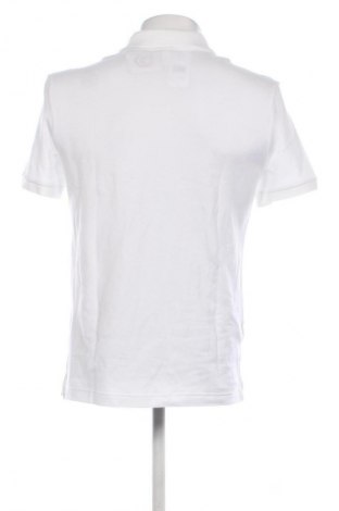 Herren T-Shirt Lacoste, Größe S, Farbe Weiß, Preis € 67,99