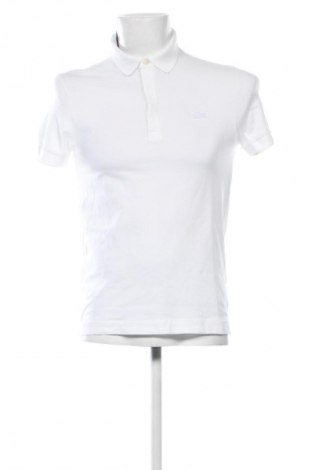 Herren Shirt Lacoste, Größe S, Farbe Ecru, Preis 60,99 €