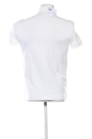 Herren Shirt Lacoste, Größe S, Farbe Ecru, Preis 60,99 €