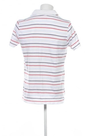 Herren Shirt Pierre Cardin, Größe L, Farbe Mehrfarbig, Preis 24,55 €