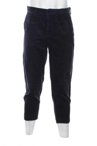 Herren Cordhose COS, Größe M, Farbe Blau, Preis € 21,99