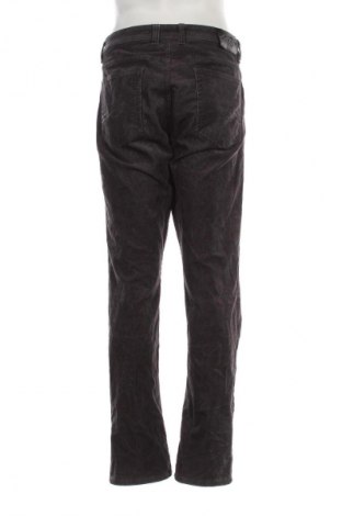 Herren Cordhose Canda, Größe XL, Farbe Grau, Preis € 14,99