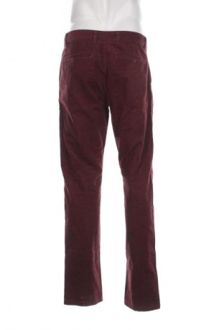 Herren Cordhose In Extenso, Größe L, Farbe Rot, Preis € 23,44