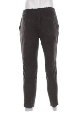 Herren Cordhose Network, Größe M, Farbe Grün, Preis 13,99 €