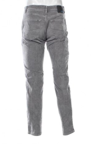 Herren Cordhose Pierre Cardin, Größe M, Farbe Grau, Preis € 19,99
