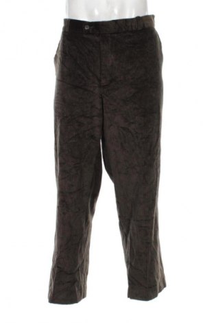 Herren Cordhose Senator, Größe XXL, Farbe Grün, Preis 5,99 €