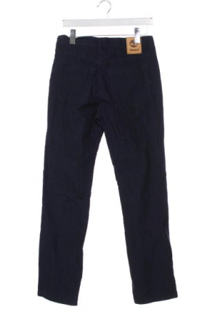 Pantaloni raiați de bărbați Timberland, Mărime M, Culoare Albastru, Preț 153,99 Lei