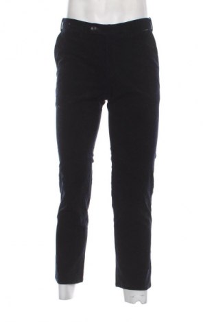 Herren Cordhose Unbranded, Größe L, Farbe Blau, Preis 10,99 €