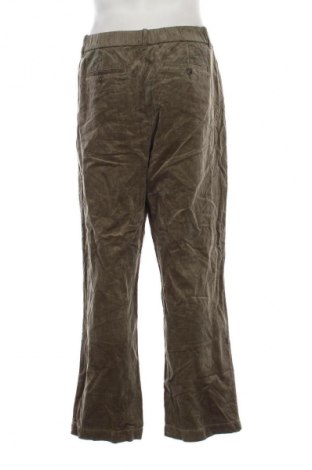 Herren Cordhose Uniqlo, Größe L, Farbe Grün, Preis 14,99 €