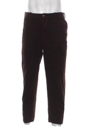 Herren Cordhose Uniqlo, Größe L, Farbe Braun, Preis 14,99 €