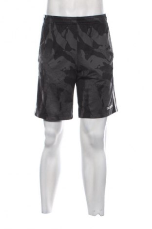 Herren Shorts Adidas, Größe S, Farbe Mehrfarbig, Preis € 22,34