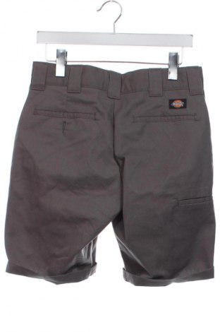 Herren Shorts Dickies, Größe S, Farbe Grau, Preis 13,99 €