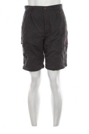 Herren Shorts Fjallraven, Größe S, Farbe Grau, Preis 10,99 €