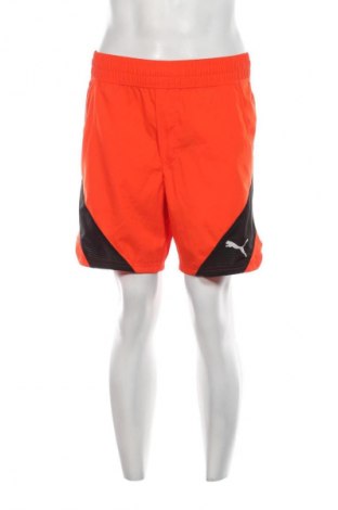 Herren Shorts PUMA, Größe M, Farbe Orange, Preis 17,39 €