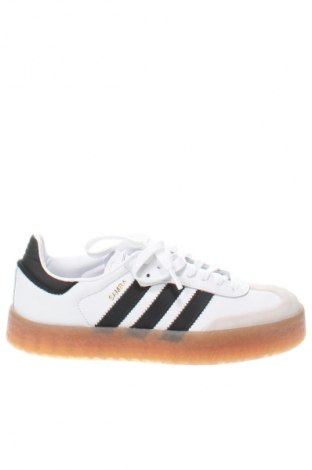 Herrenschuhe Adidas, Größe 40, Farbe Mehrfarbig, Preis 137,99 €