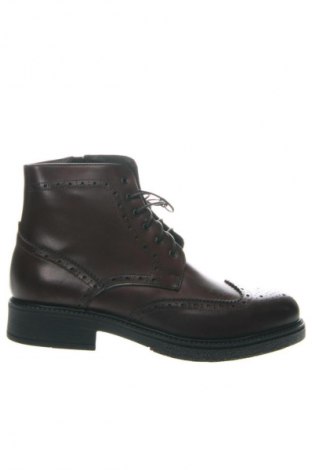 Ανδρικά παπούτσια Frank Daniel, Μέγεθος 41, Χρώμα Καφέ, Τιμή 154,99 €
