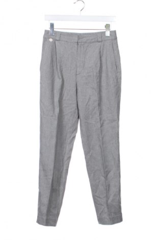 Herrenhose Massimo Dutti, Größe S, Farbe Grau, Preis € 34,99