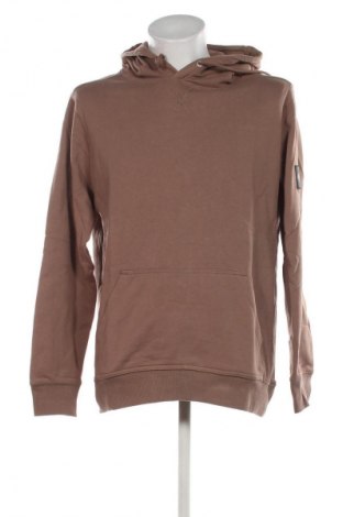 Herren Sweatshirt Calvin Klein Jeans, Größe XXL, Farbe Braun, Preis € 107,99