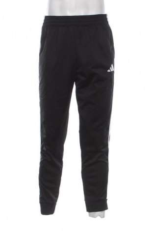 Herren Sporthose Adidas, Größe L, Farbe Mehrfarbig, Preis 52,99 €