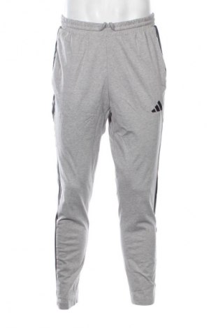 Herren Sporthose Adidas, Größe M, Farbe Grau, Preis € 72,99