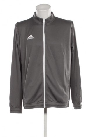 Herren Sportoberteil Adidas, Größe XL, Farbe Grau, Preis 71,99 €