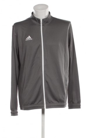 Herren Sportoberteil Adidas, Größe XL, Farbe Grau, Preis 57,99 €
