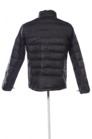 Herrenjacke Jack Wolfskin, Größe L, Farbe Mehrfarbig, Preis € 119,99