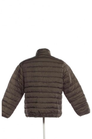 Herrenjacke X-Mail, Größe XL, Farbe Grün, Preis 8,99 €