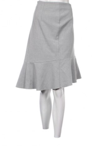 Rock H&M, Größe XL, Farbe Grau, Preis € 9,72