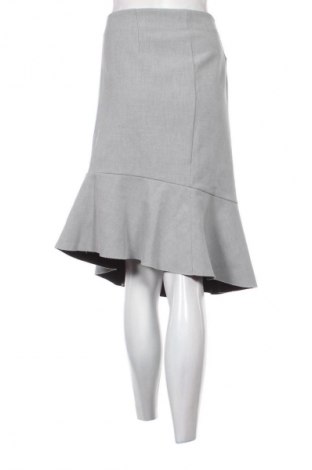 Rock H&M, Größe XL, Farbe Grau, Preis € 9,72