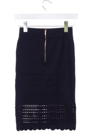 Sukňa Ted Baker, Veľkosť XS, Farba Modrá, Cena  113,22 €