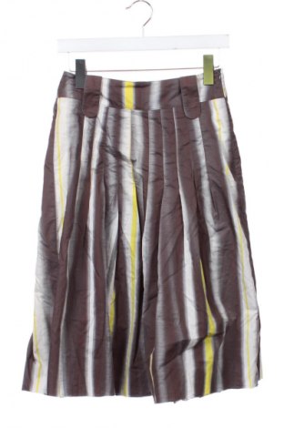 Φούστα Unbranded, Μέγεθος XS, Χρώμα Πολύχρωμο, Τιμή 11,79 €