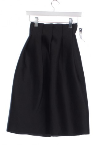 Sukně Unbranded, Velikost XXS, Barva Černá, Cena  419,00 Kč