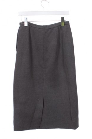 Sukně Unbranded, Velikost XS, Barva Šedá, Cena  291,00 Kč