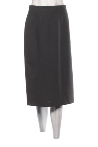 Sukňa Unbranded, Veľkosť XL, Farba Sivá, Cena  10,00 €