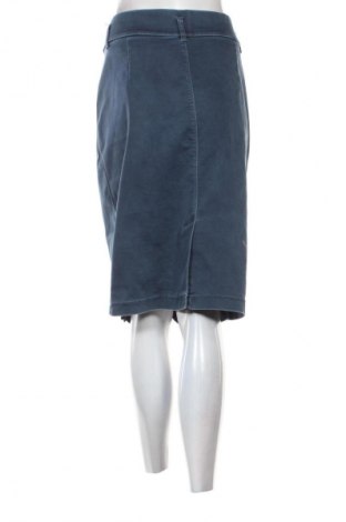 Sukně Unbranded, Velikost XL, Barva Modrá, Cena  241,00 Kč