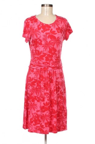 Kleid Aniston, Größe M, Farbe Mehrfarbig, Preis € 24,99