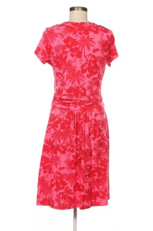 Kleid Aniston, Größe M, Farbe Mehrfarbig, Preis € 24,99