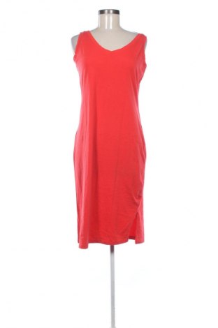Kleid Bpc Bonprix Collection, Größe M, Farbe Rot, Preis € 14,83