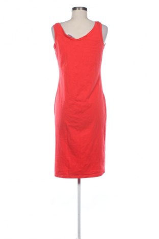 Kleid Bpc Bonprix Collection, Größe M, Farbe Rot, Preis € 14,83