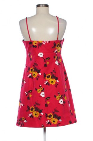 Φόρεμα Caroll, Μέγεθος M, Χρώμα Πολύχρωμο, Τιμή 33,99 €