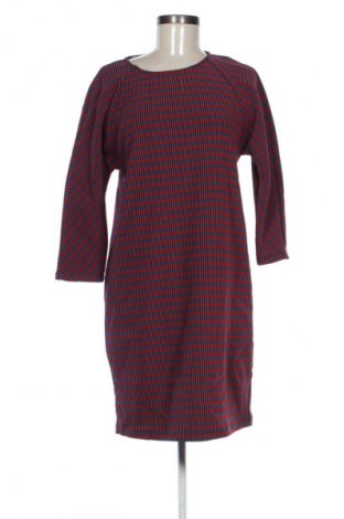 Kleid Max&Co., Größe M, Farbe Mehrfarbig, Preis € 162,99