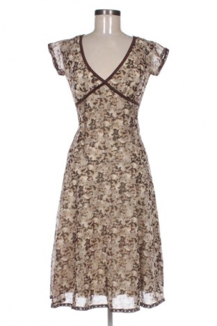 Φόρεμα Mexx, Μέγεθος XS, Χρώμα Πολύχρωμο, Τιμή 25,00 €