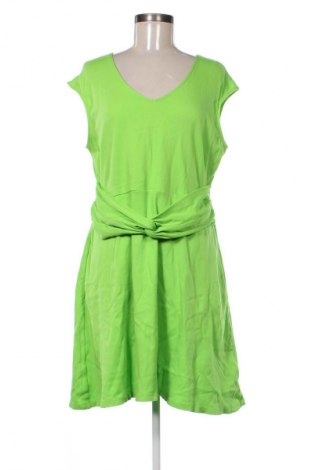 Kleid New York & Company, Größe XL, Farbe Grün, Preis 19,99 €