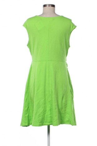 Kleid New York & Company, Größe XL, Farbe Grün, Preis 19,99 €